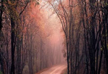 开云体育官网-命运的三次翻转：从大阪病床到奥运之巅的1620度弧线