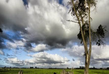 开云体育平台APP-鹿岛鹿角阵容齐整，劲旅全力以赴世俱杯争冠