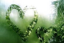 开云体育平台APP-阿尔艾因球迷现场助威，球队士气高涨