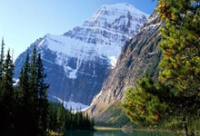 开云体育APP下载-福建男篮夺冠在即，势不可挡