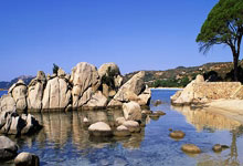 开云体育APP下载-福建男篮夺冠在即，势不可挡