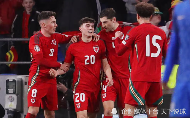 波兰队雄心勃勃,欧洲杯资格可期的简单介绍 波兰队雄心勃勃,欧洲杯资格可期的简单介绍