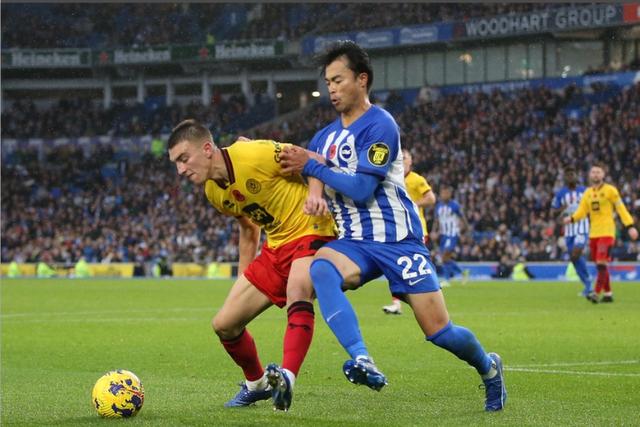 包含布莱顿主场比取胜南安普顿，现场球迷疯狂欢呼的词条