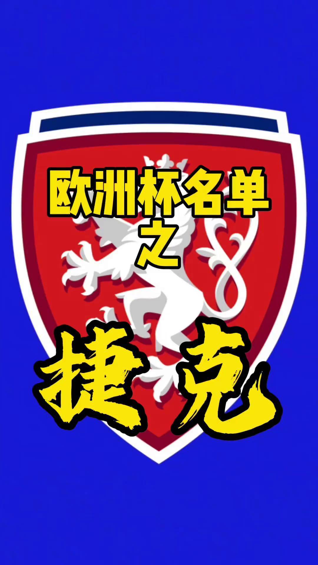 捷克队将对阵爱尔兰,赢取参赛权 捷克队将对阵爱尔兰,赢取参赛权