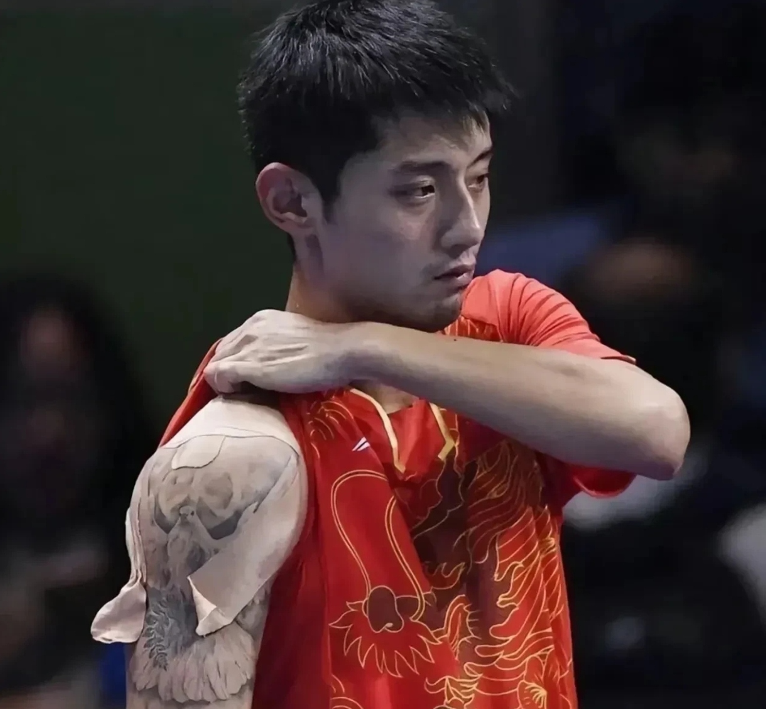 法国队横扫波兰队,张继科惊艳四座 法国队横扫波兰队,张继科惊艳四座