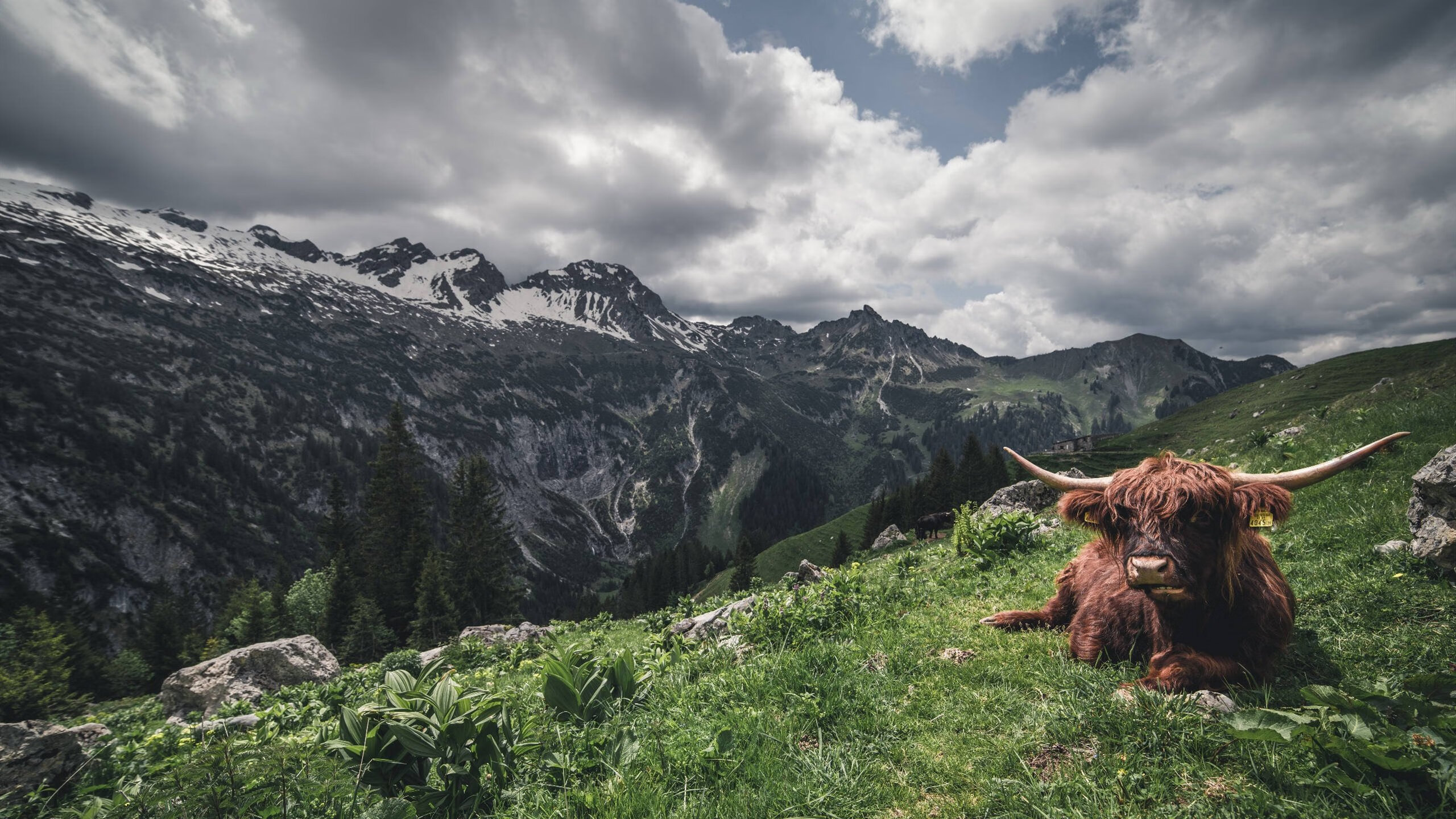 开云体育官网-骑士战术体系全面压制篮网，塔图姆末节主宰化身关键先生