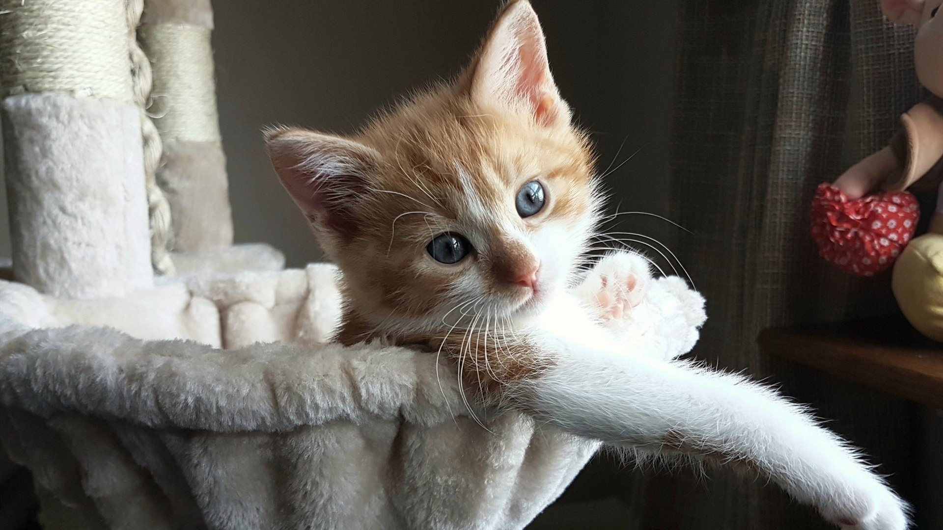 开云体育下载-阿克比赛走势一手掌控，巴西精准打穿摩洛哥，一场战术执行的教科书