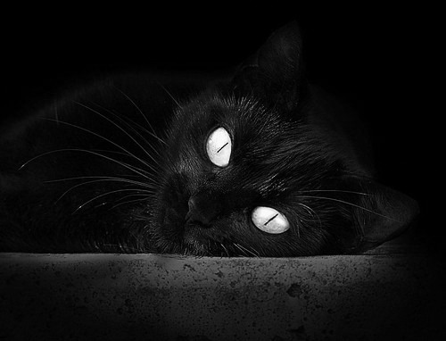 足球的双重辉煌,尼日利亚淘汰比利时,萨卡欧冠半决赛接管比赛