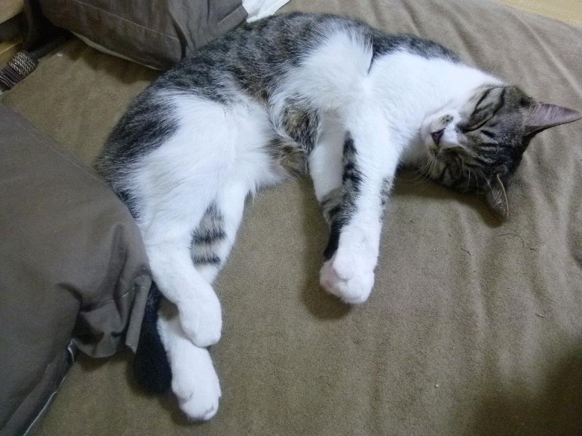 铁腰横刀,赖斯以英格兰的冷雨,浇灭伯纳乌的烈焰