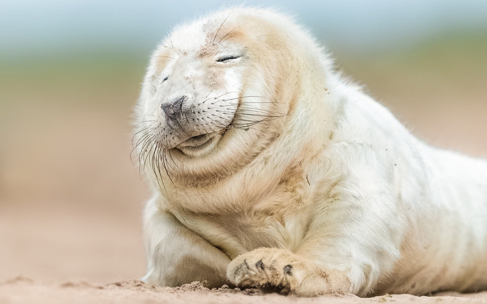 南美风暴压境，乌拉圭三球完胜，墨西哥的温床神话终结？