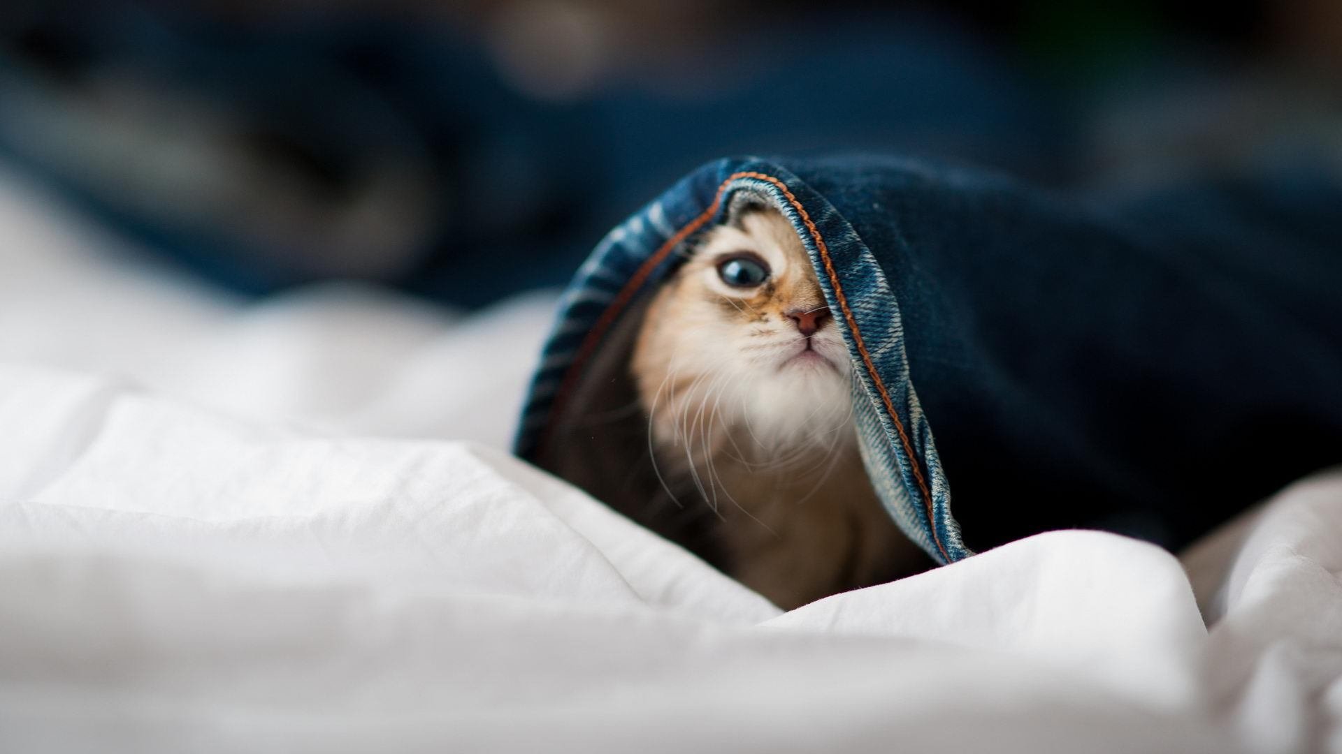 防守的艺术，从富安健洋的完美到毕尔巴鄂的掌控