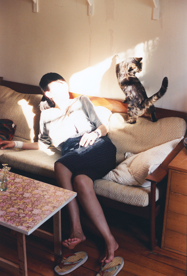 赛场双响炮,F1新赛季揭幕战焦点点燃速度激情,独行侠冲垮鹈鹕演绎篮球风暴