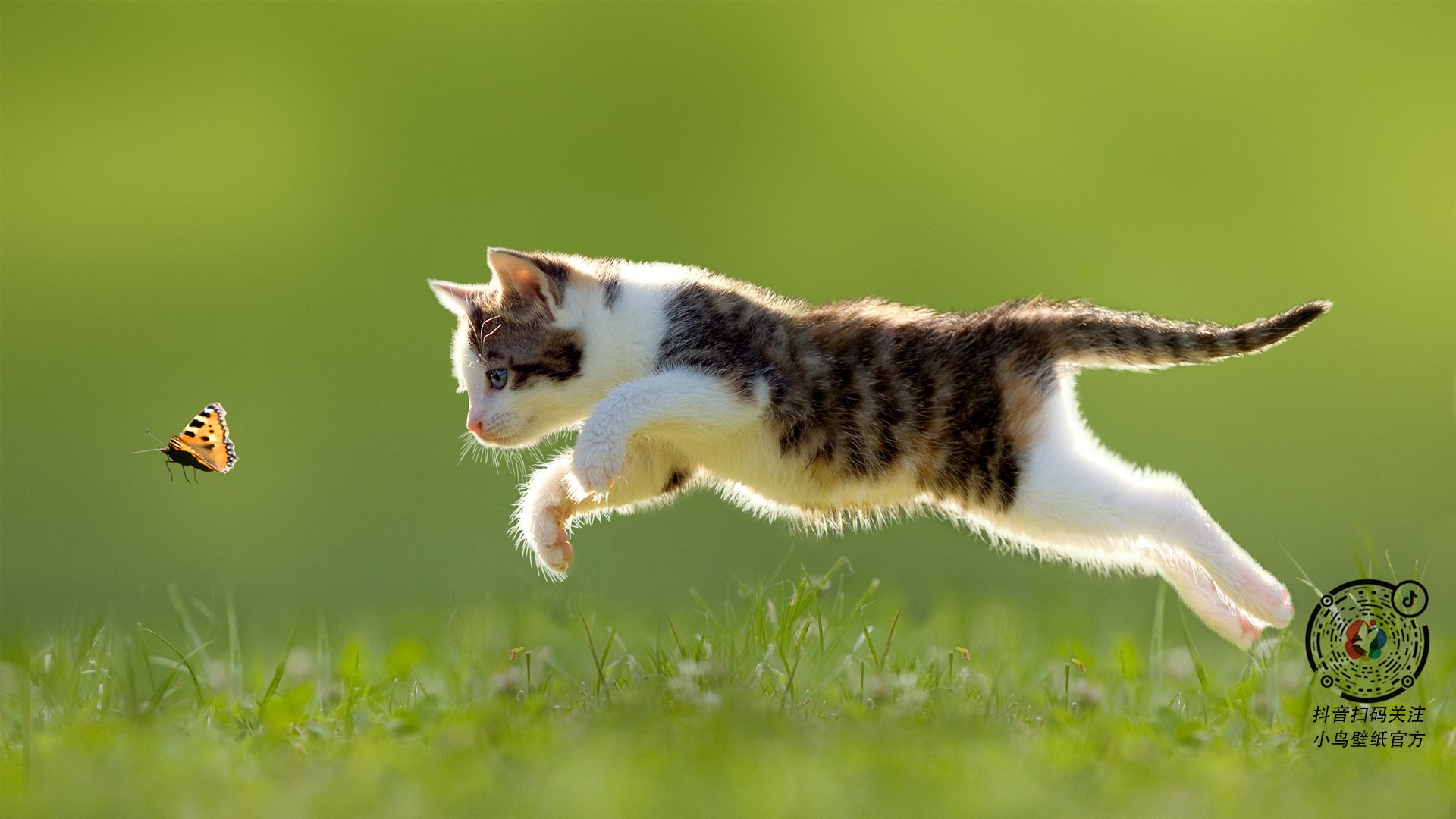 开云体育官方网站-代码入侵，季后赛抢七战场，日本AI如何压制银河战舰