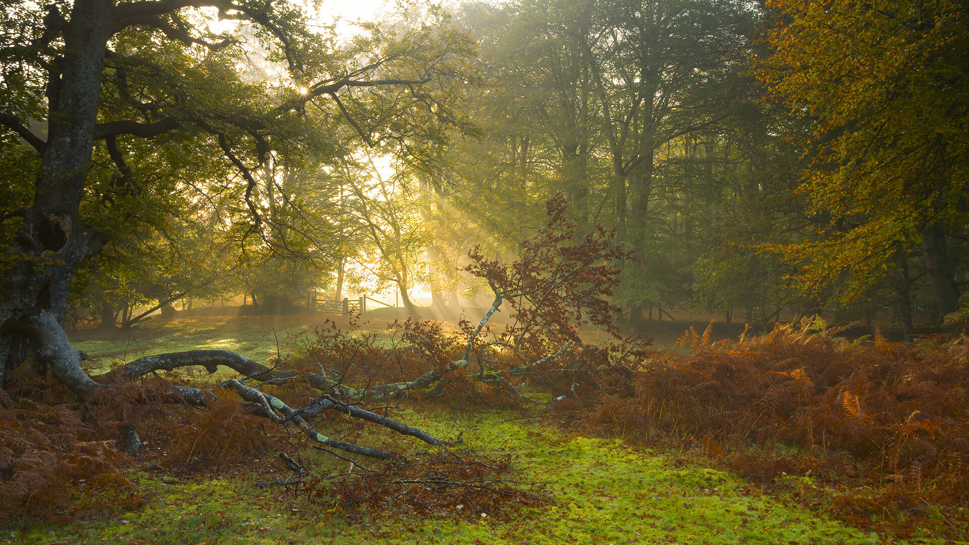 独闯龙潭，伊萨克全能爆破导演，比利亚雷亚尔荡气回肠逆转那不勒斯