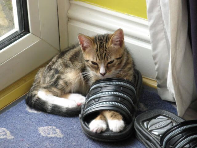 孔德，夜色中的棋盘之手，悄然拨动欧冠的天平