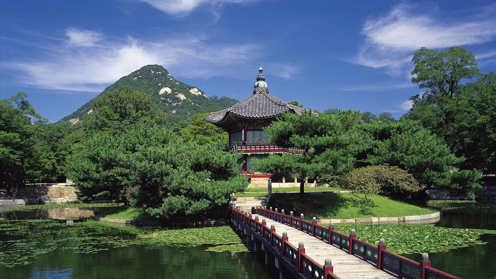 开云下载-巨星时刻与团队胜利，克瓦拉茨赫利亚闪耀，比利时团队斩落希腊