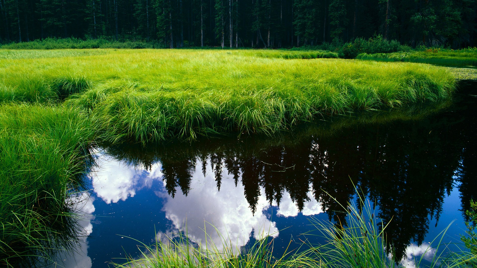 黄喜灿式掌控与东方足球智慧觉醒，当团队韧性超越巨星逻辑