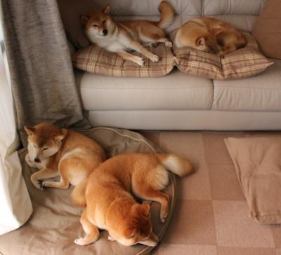 双线飓风,当塔图姆的火焰点燃北岸花园,灰熊的爪牙撕碎印第安娜的夜晚