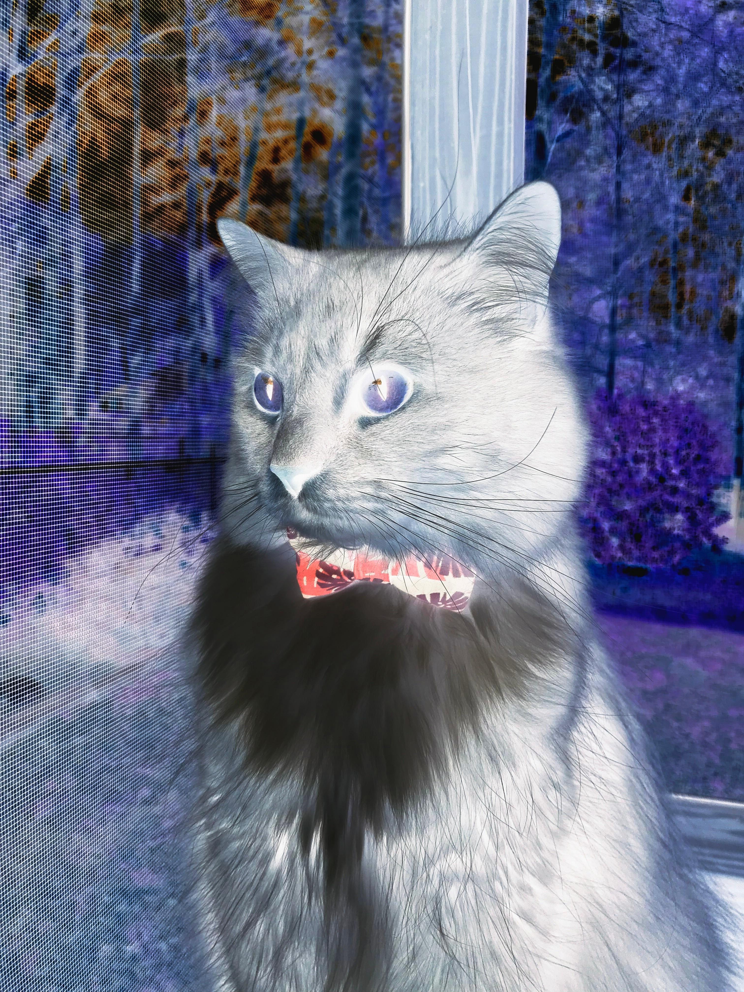 开云官网-绝境塔图姆，当压力化为燃料，他从烈火中走来