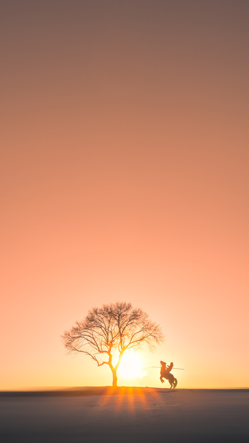 猛龙横扫公牛，西亚卡姆在世界排名争夺战中完成非典型接管