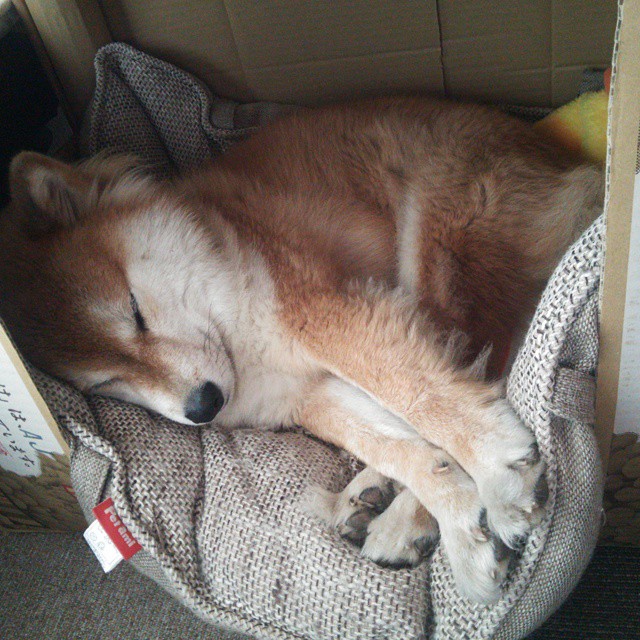 热火对阵上海队,莫兰特在焦点战中证明自己