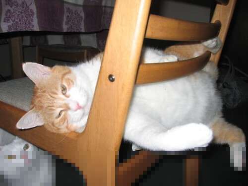 开云APP-足球的暗影与光辉，当团队绝杀与个人神迹诠释绿茵场的对立哲学