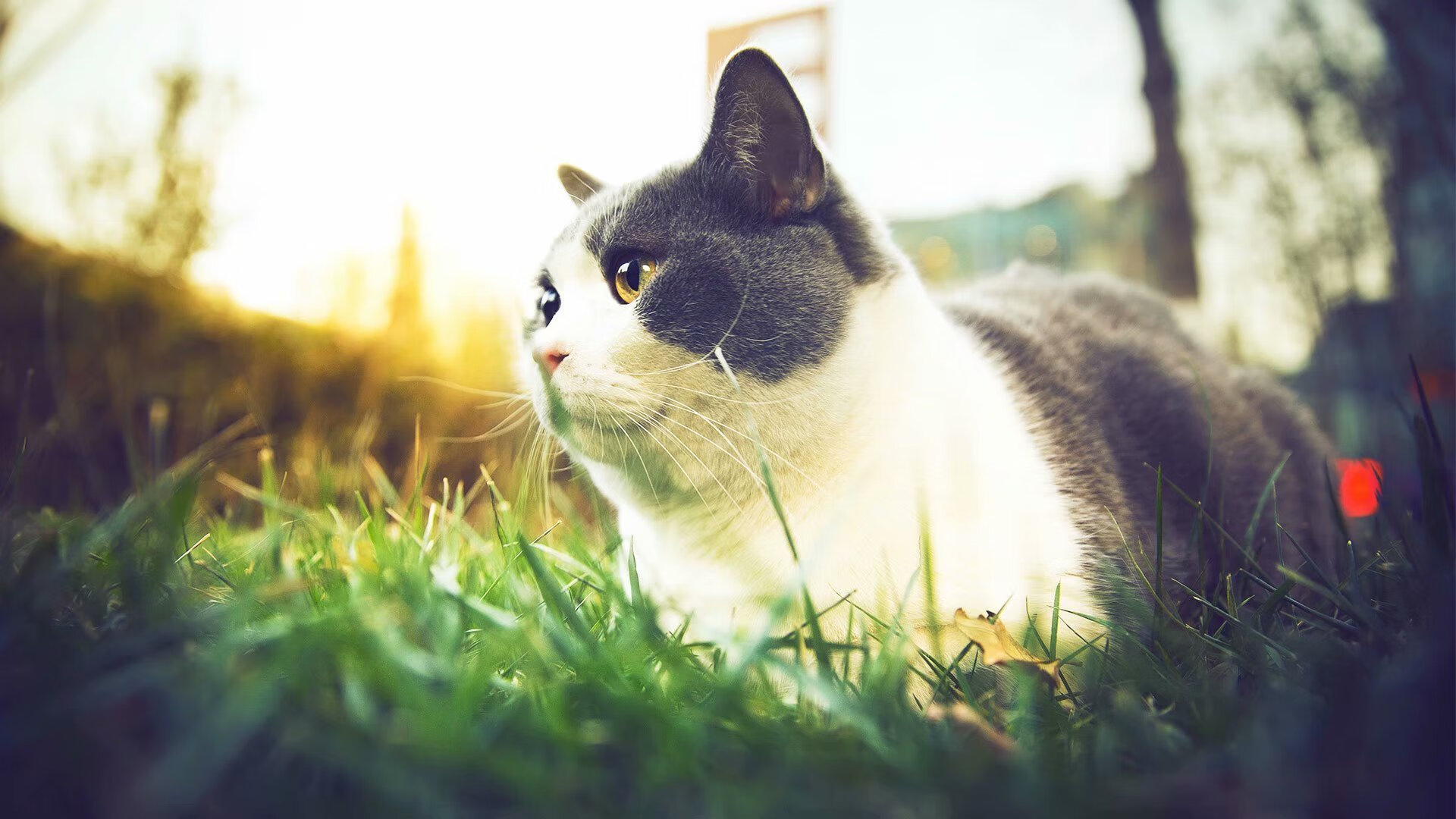 末节仅得9分，场均28+5的爱德华兹如何让浙江金牛提前崩盘？