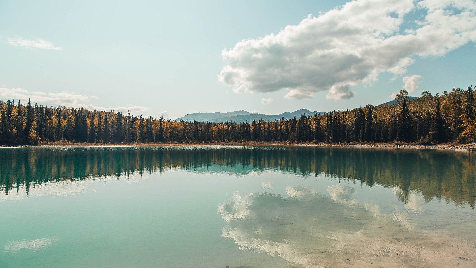 双核驱动，突尼斯战术铁幕锁死几内亚，本泽马致命连击终结悬念