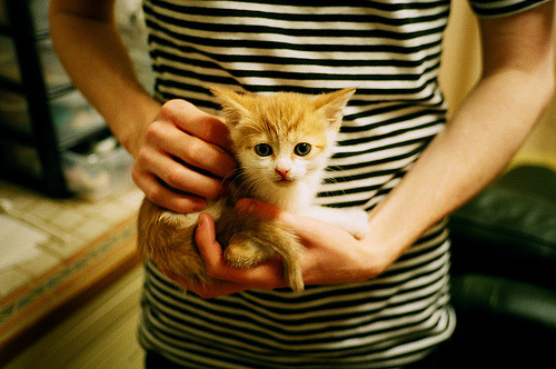 末节逆转！恩比德关键爆发助深圳队力克新疆队