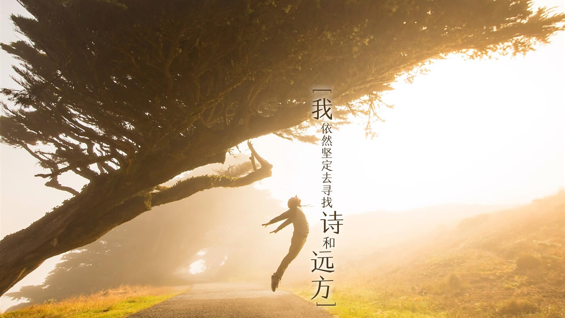 开云APP-双冠争辉，国王力克热火登顶篮球之巅，库里跨界德甲接管绿茵赛场