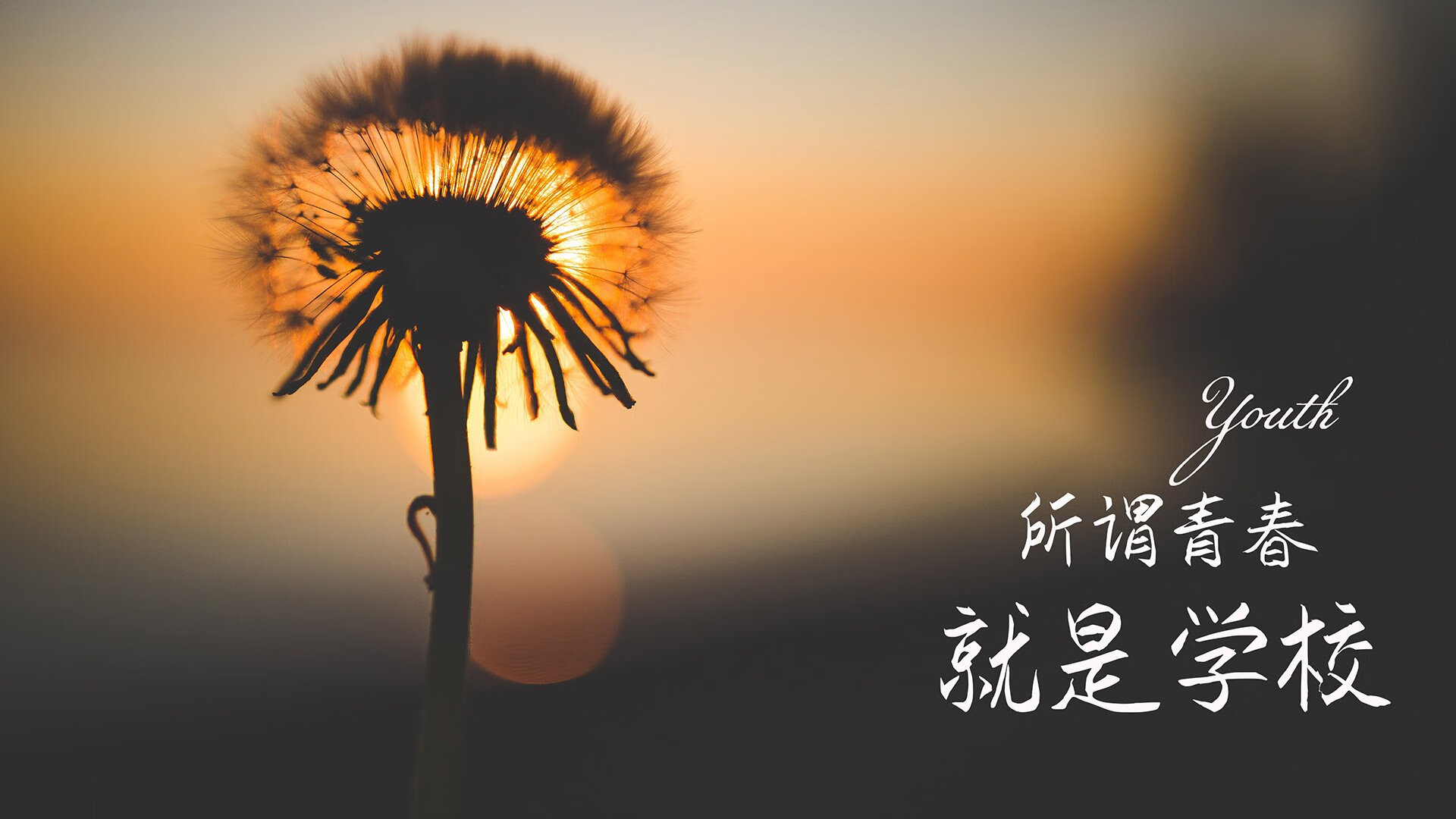 黄蓝风暴席卷D组,罗马尼亚完胜韩国,阿诺德一战封神